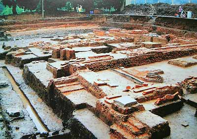 Part of Thang Long royal citadel to be introduced to public
